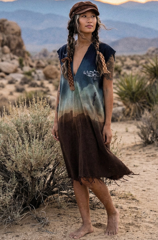 Petite (XS/S/M) - Hawk Takes Flight over Horizon Henka Dress -Adjustable transformable Tie back - 100% Cotton - Deadstock fabric - OOAK