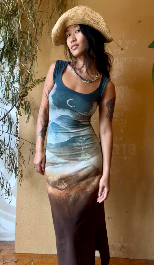 New! Small -Poly Chrome Settings Basket DRESS - An ode to the past- 96%cotton 4% Spandex- Stretchy - hand dyed - stenciled