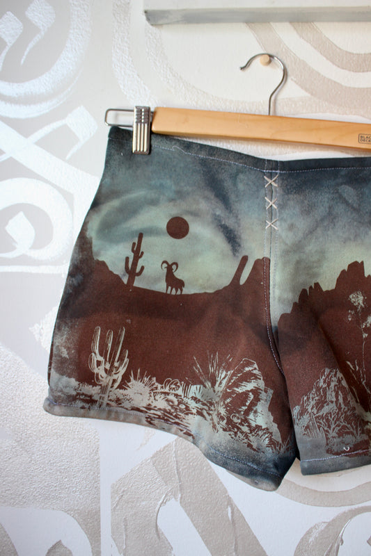 MEDIUM- Desert Sweat Shorts 2 - Hand embroidered details, Screen printed, Hand dyed- One of a kind (Copy)