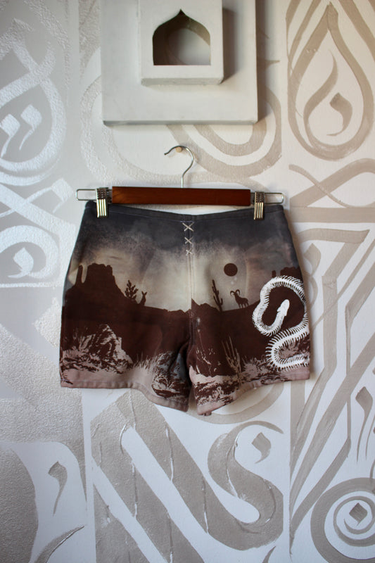 MEDIUM- Desert Sweat Shorts 3 - Hand embroidered details, Screen printed, Hand dyed- One of a kind (Copy) (Copy)