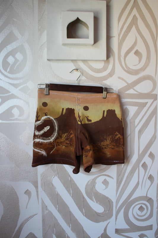 MEDIUM- Desert Sweat Shorts 6 - Hand embroidered details, Screen printed, Hand dyed- One of a kind