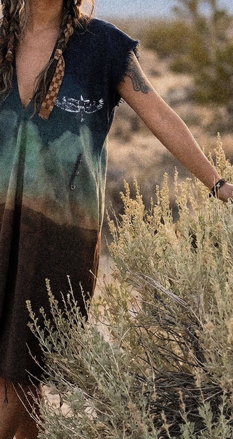 Petite (XS/S/M) - Hawk Takes Flight over Horizon Henka Dress -Adjustable transformable Tie back - 100% Cotton - Deadstock fabric - OOAK