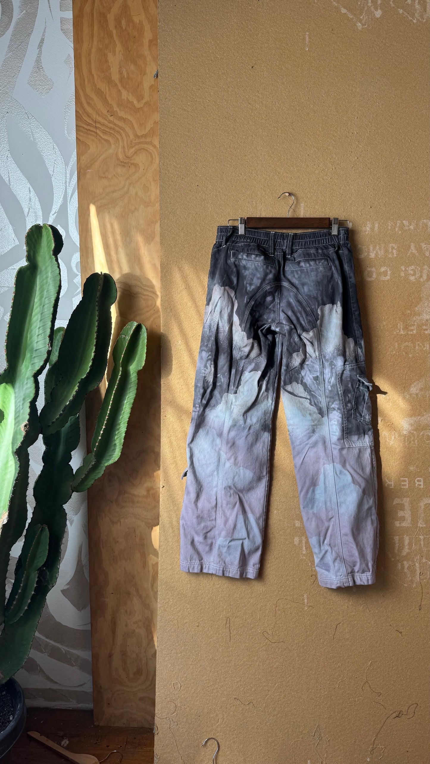 Size 27 - Smokey Cloudy Sky- 100% cotton Cargo pants BDG -regenerazhinh~ thick sturdy heavy weight - utility