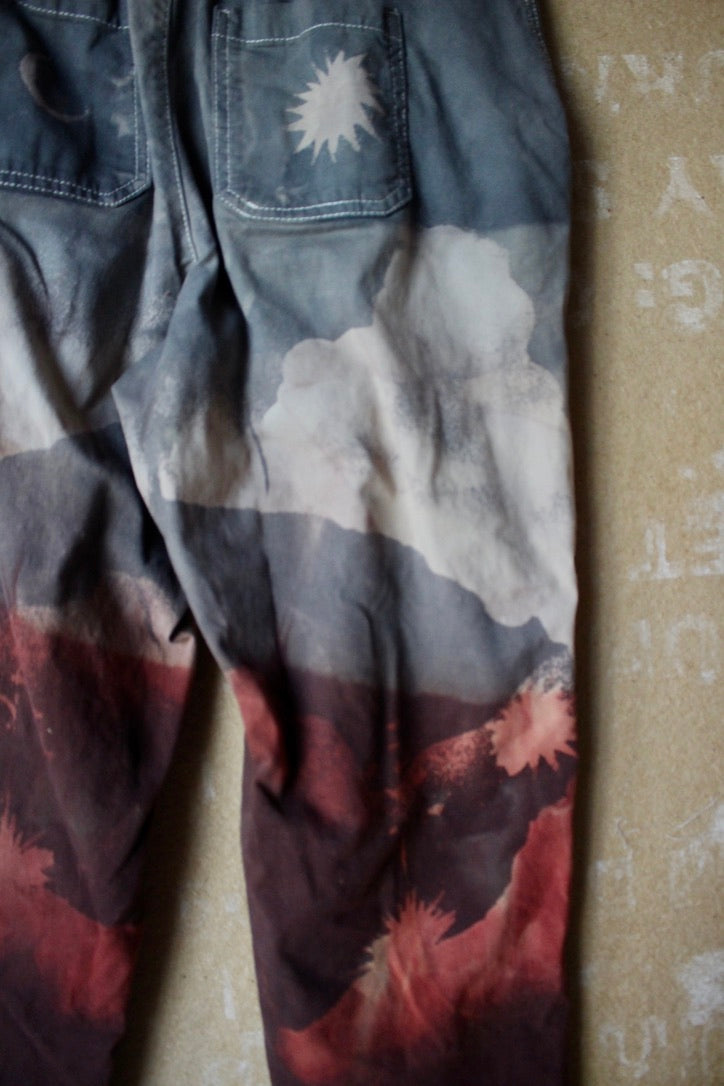 Small - Walk in the Park Landscape Pants